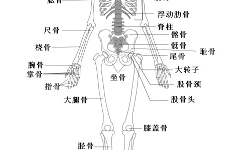 痛风吃什么有营养的东西-痛风患者食物营养价值网—知名的痛风吃什么营养品好网站,分享痛风吃什么营养品对身体好知识
